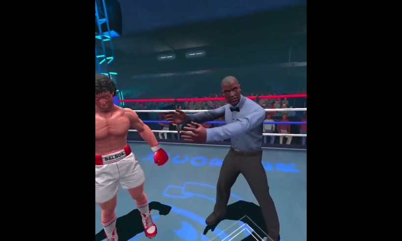 Boxing with Rocky. Virtual reality game with Oculus Quest 2 headset