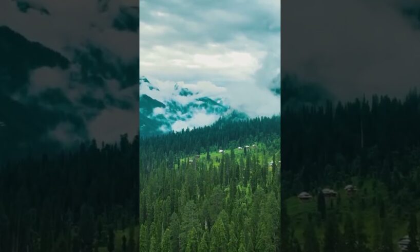 Drone camera shots😇🤟🏻😎beauty check #nature #kashmirbeauty