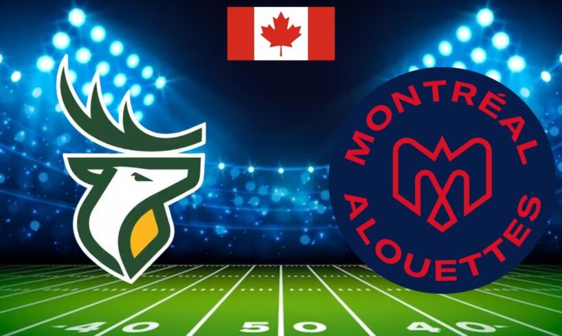 CFL Free Pick For August 25th, 2024- Edmonton Elks at Montreal Alouettes | Earle Sports Bets