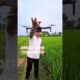 ফাটাফাটি মাথা নষ্ট করার ড্রোন W10 Drone Camera#shorts