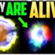 NEW: UFOs, UAPs, Drones, Angels and LIVING Orbs - CAUGHT ON CAMERA