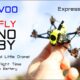 Flywoo Firefly Nano 1S Baby - This tiny drone will put a smile on your face - Review