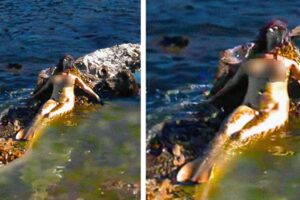 Man's Drone Camera Caught Something Terrifying on the Beach