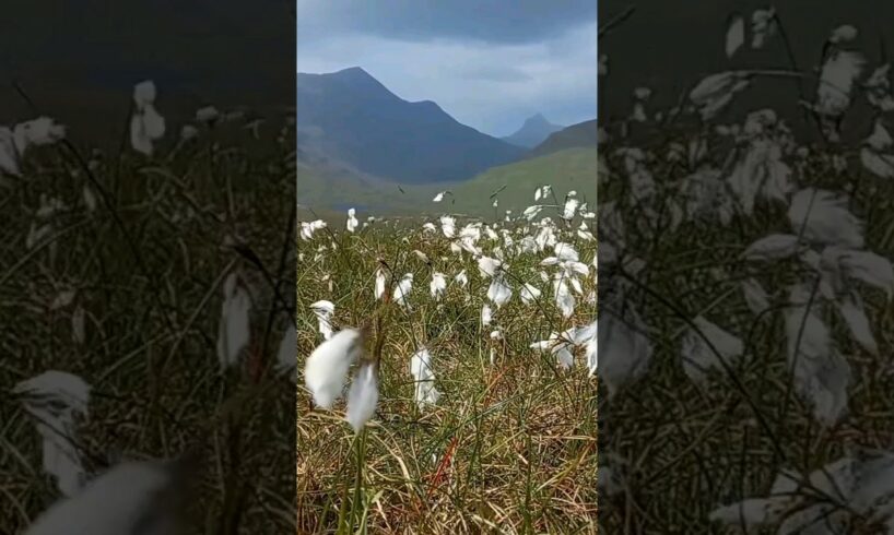 Pretending to be a drone camera in knockan crag, Highlands.