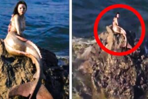 Man's Drone Camera Caught Something Terrifying on the Beach