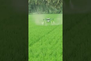 Agri Drone Sprayer      . #agriculture #agridrone #agritech #drone #modrenfarming #paddy #spray