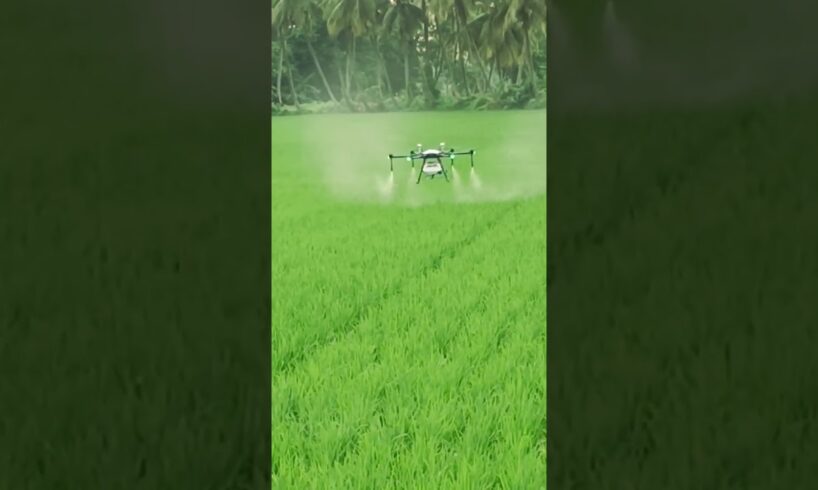 Agri Drone Sprayer      . #agriculture #agridrone #agritech #drone #modrenfarming #paddy #spray